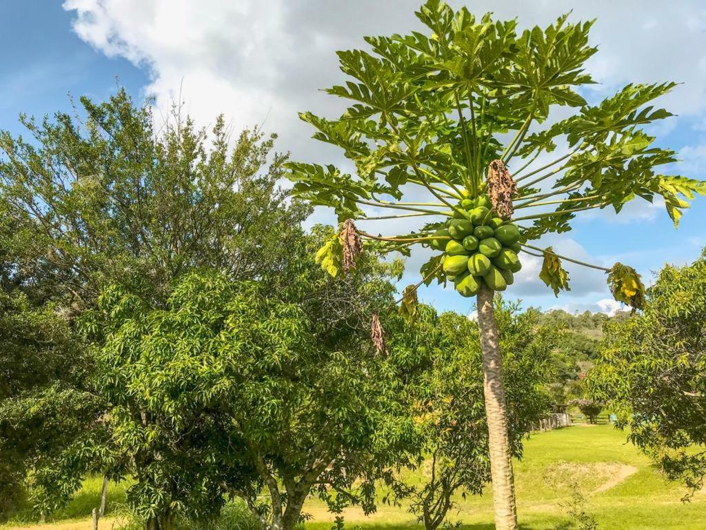 Fazenda Paisagem Chales Serra Negra  Eksteriør bilde
