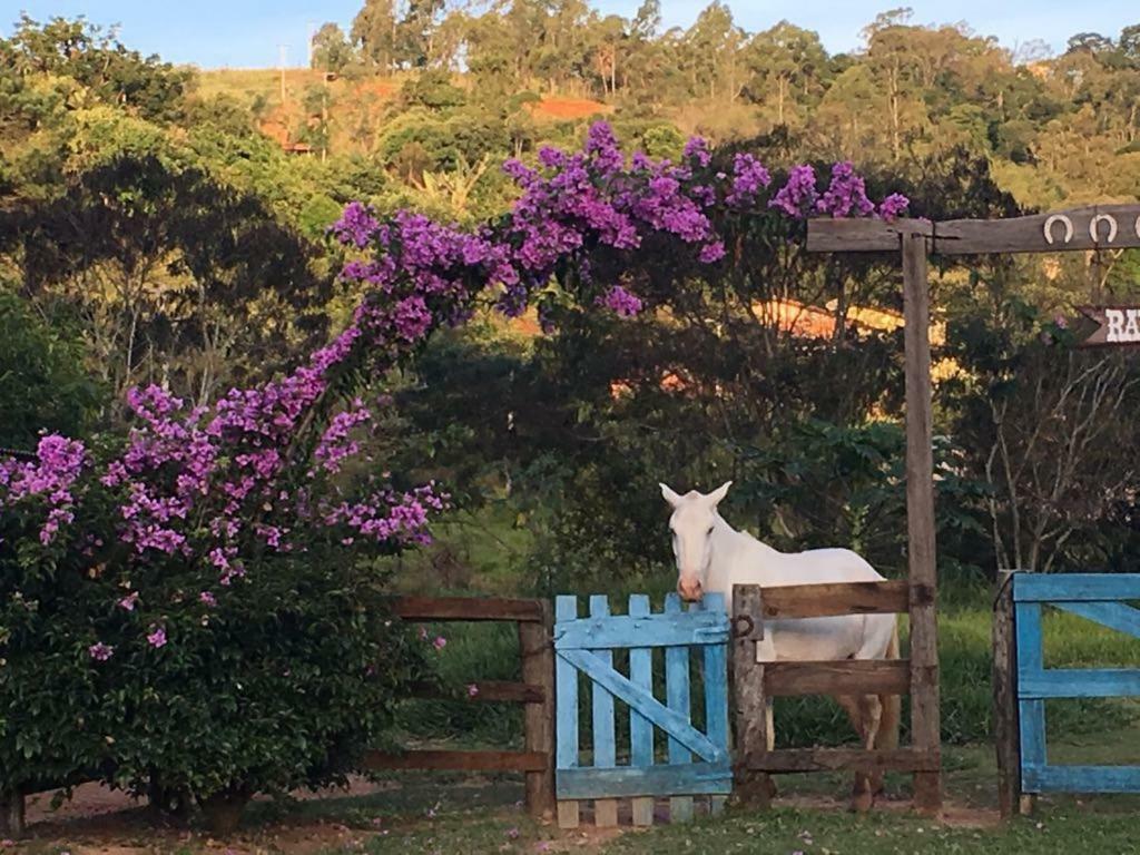 Fazenda Paisagem Chales Serra Negra  Eksteriør bilde